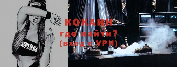 шишки Ачинск